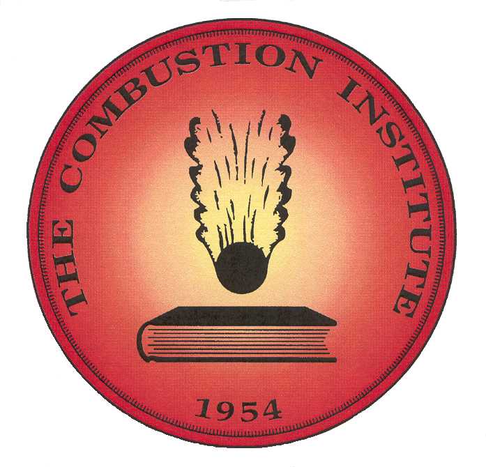 Link to Combustion Institute